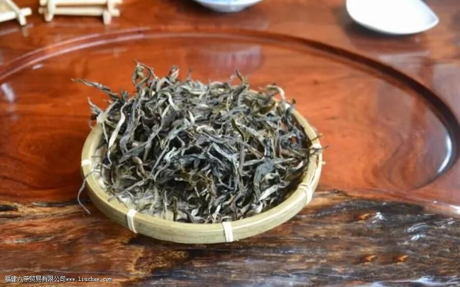 普洱古茶园第一村是哪个 普洱古茶园第一村是哪个