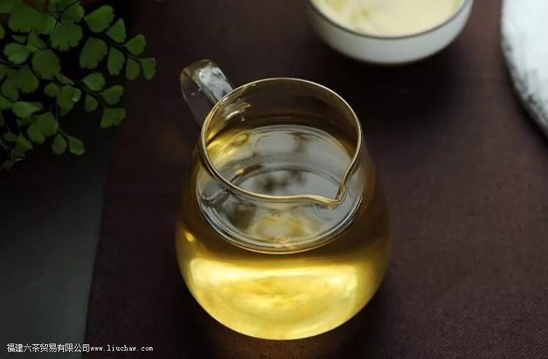 普洱古茶园第一村是哪个 普洱古茶园第一村是哪个