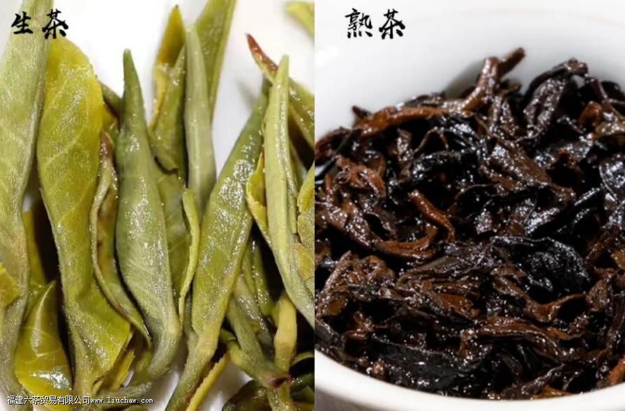 �ն�����������ʲô���𣬿������������