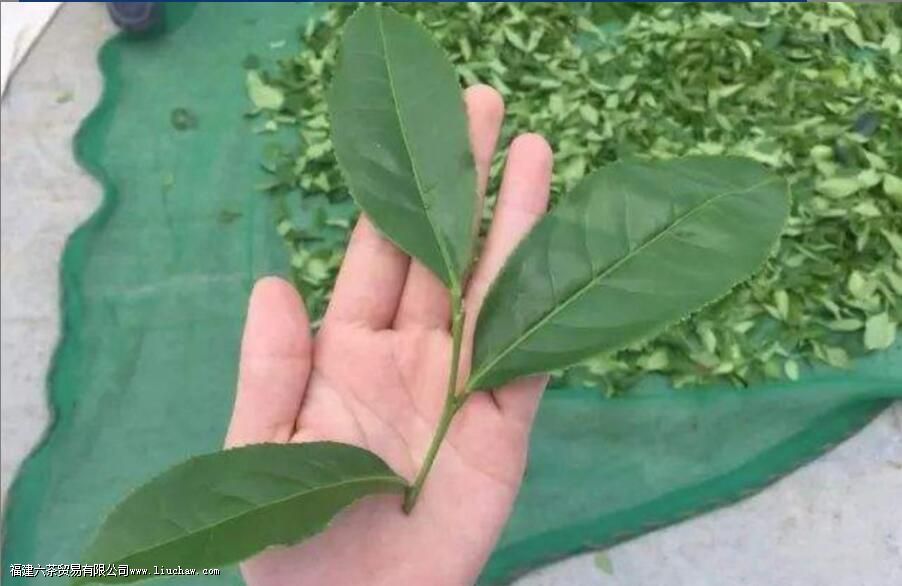 ������ʲô��