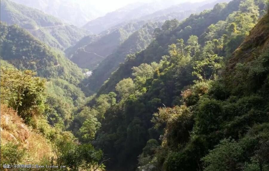 ǧ��կ�ն�����ʲô�ص�