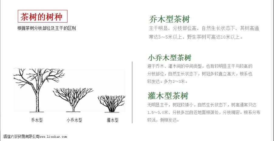 ��ľ�Ͳ������ص�