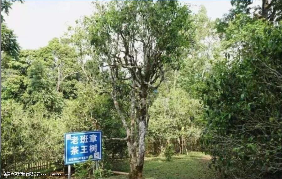 ��ľ�Ͳ������ص�