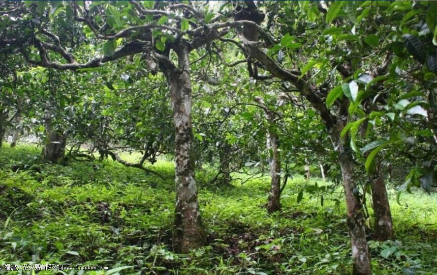 ��ľ�Ͳ������ص�