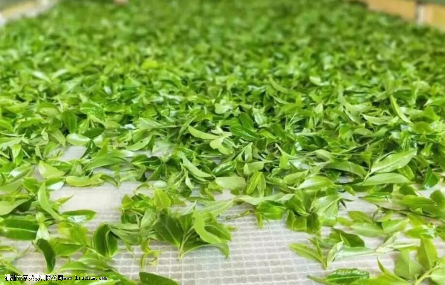 ���Ϊʲô�����