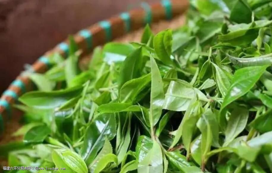 ���Ϊʲô�����