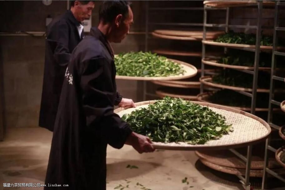 ���Ϊʲô�����