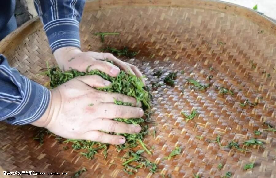 ���Ϊʲô�����