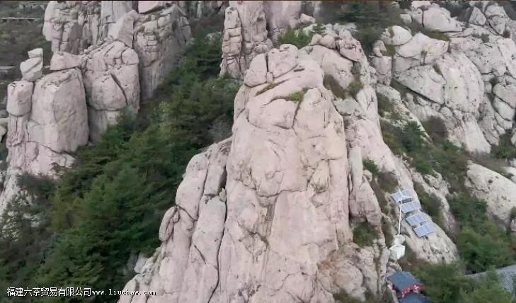 �ൺ��ʲô��