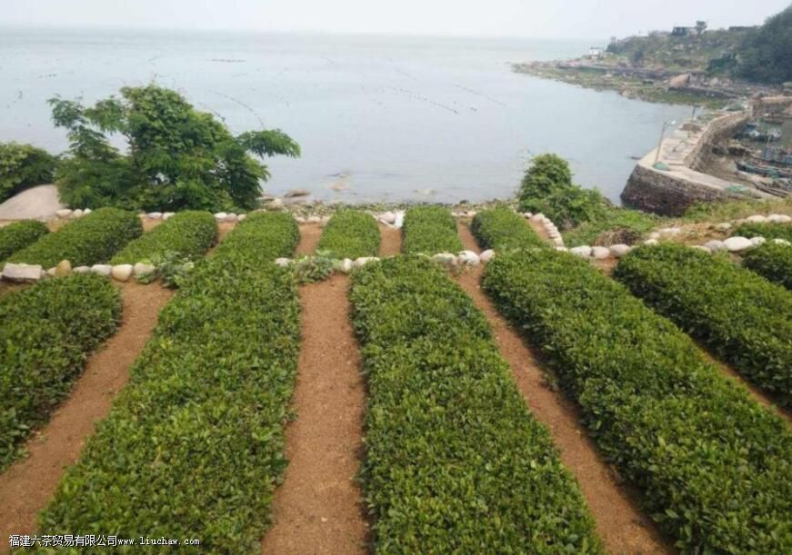 �ൺ��ʲô��