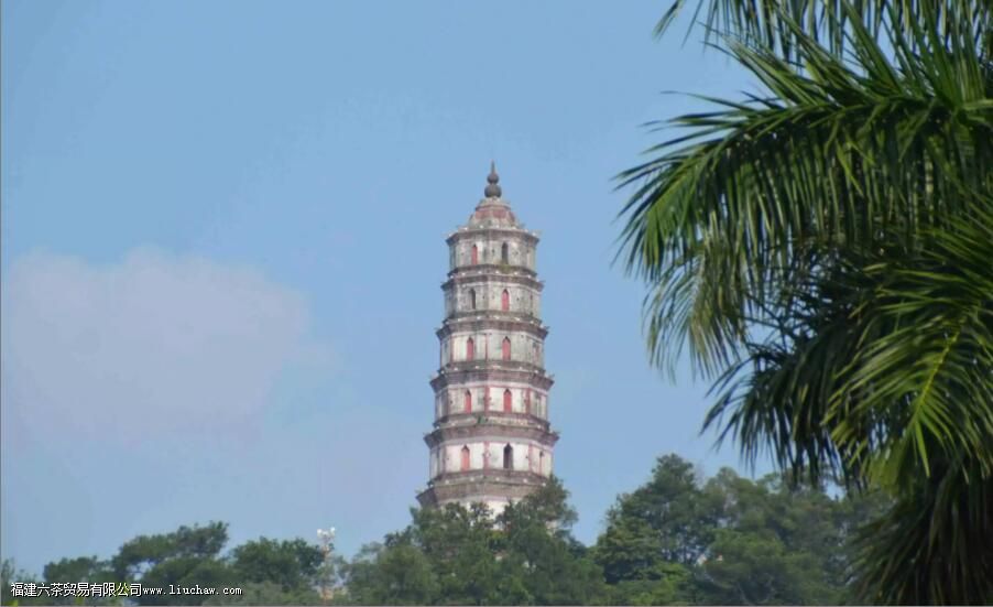 圈枝柑和驳枝柑究竟是什么 圈枝柑和驳枝如何区别 圈枝柑和驳枝柑究竟是什么 圈枝柑和驳枝如何区别