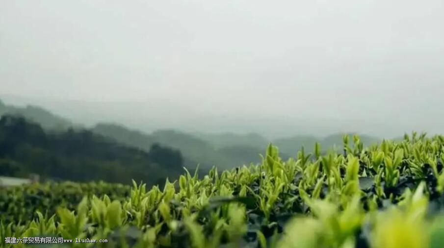 ȸ����֪ʶ����