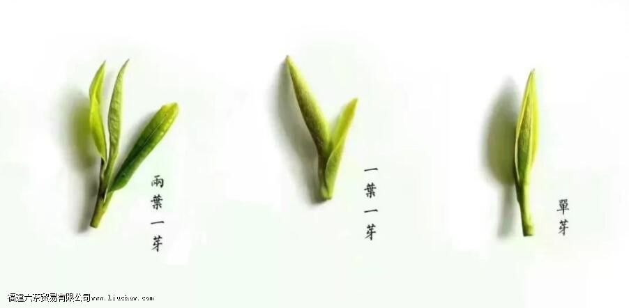 ȸ����֪ʶ����