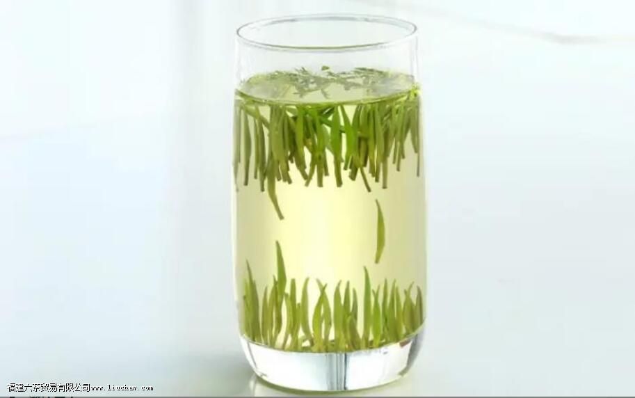 雀舌喝起来是什么口感 雀舌喝起来是什么口感