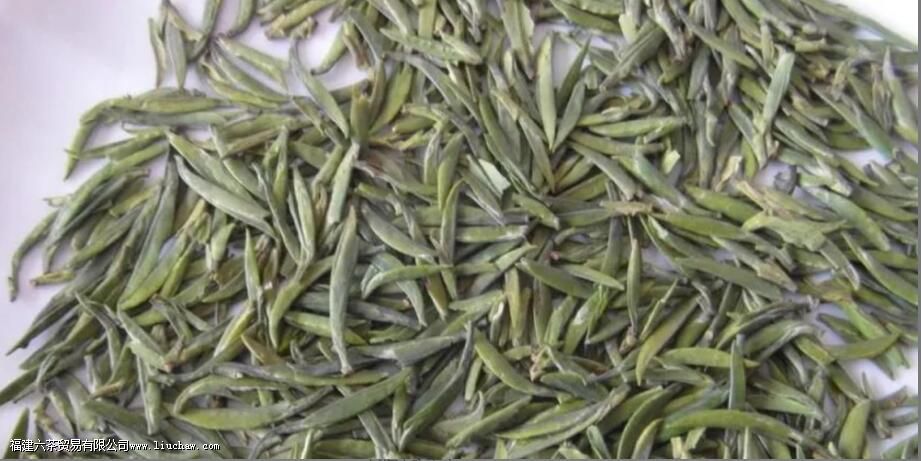 雀舌喝起来是什么口感 雀舌喝起来是什么口感