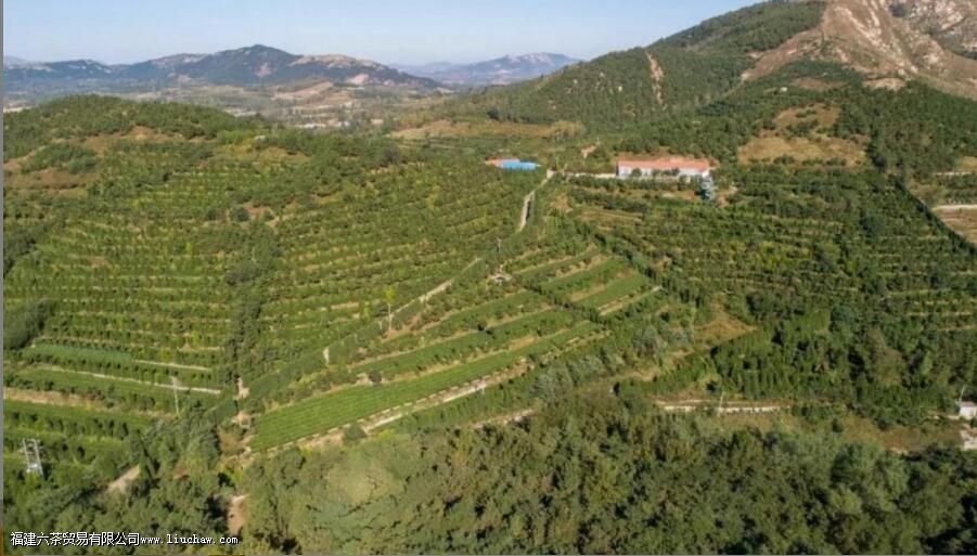 �����̲���ص�