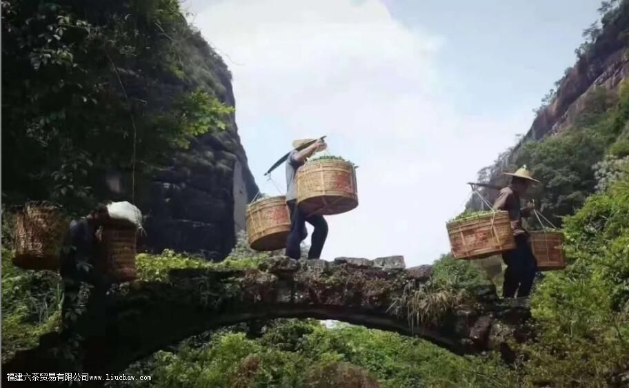 ����Ŀڸ�����