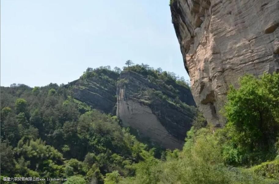 ����Ŀڸ�����