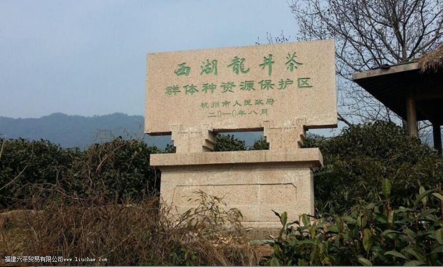 如何辨别西湖龙井 如何辨别西湖龙井