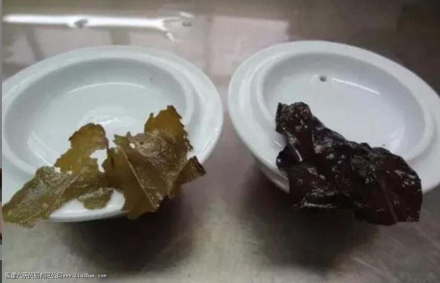 ��α�������ϰײ裬ѧ���⼸��������