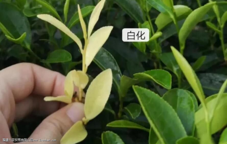 �������׻��� �׻���ı�������������