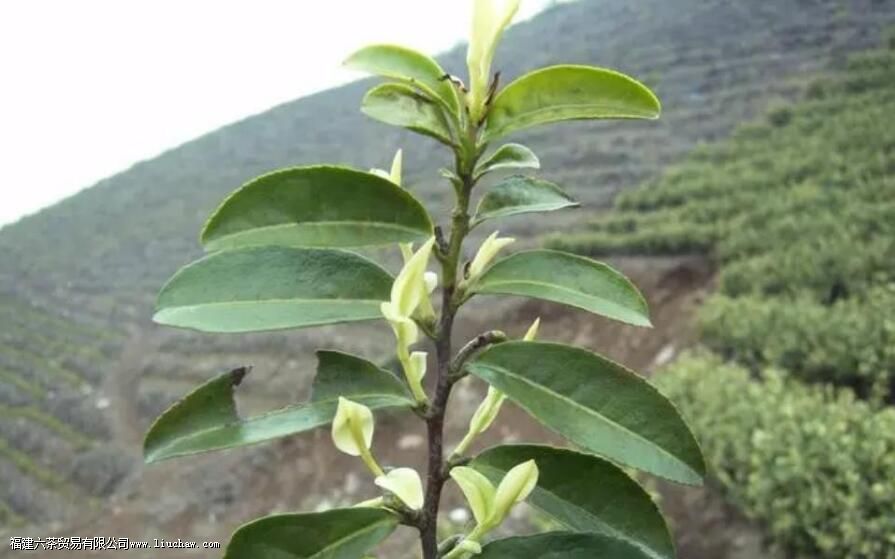 �������׻��� �׻���ı�������������