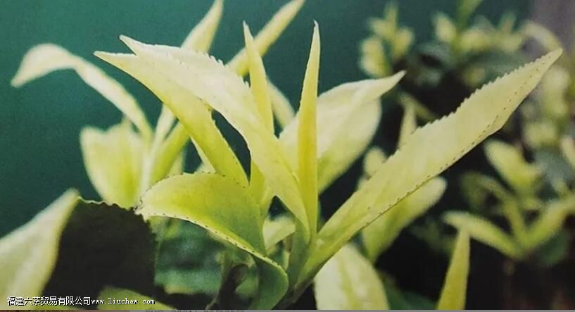 �������׻��� �׻���ı�������������