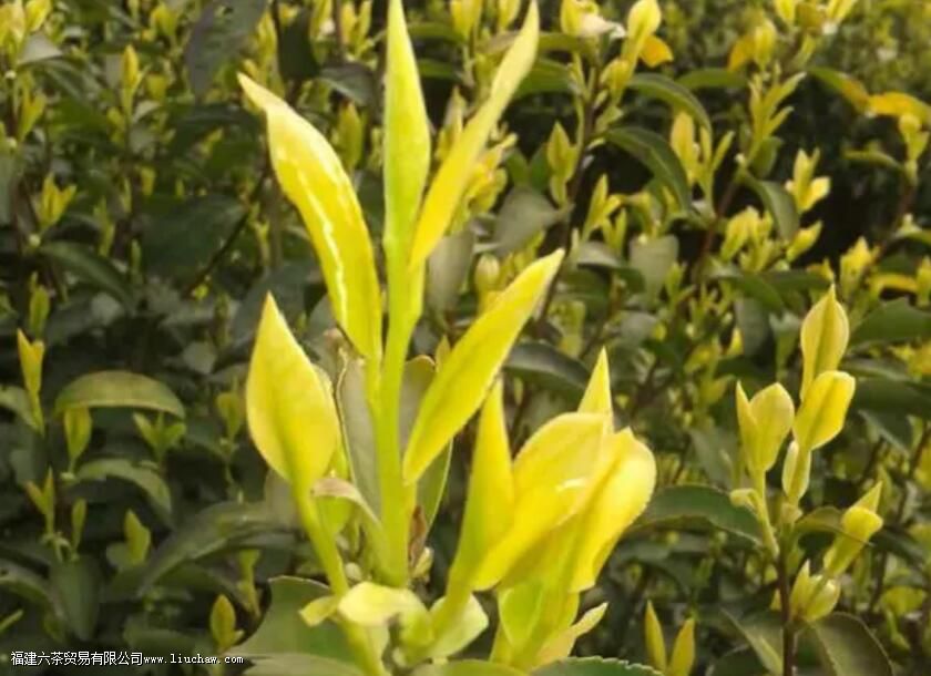 �������׻��� �׻���ı�������������