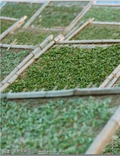 ���ѡ��ײ裬ɢ��û��ǽ�ѹ���