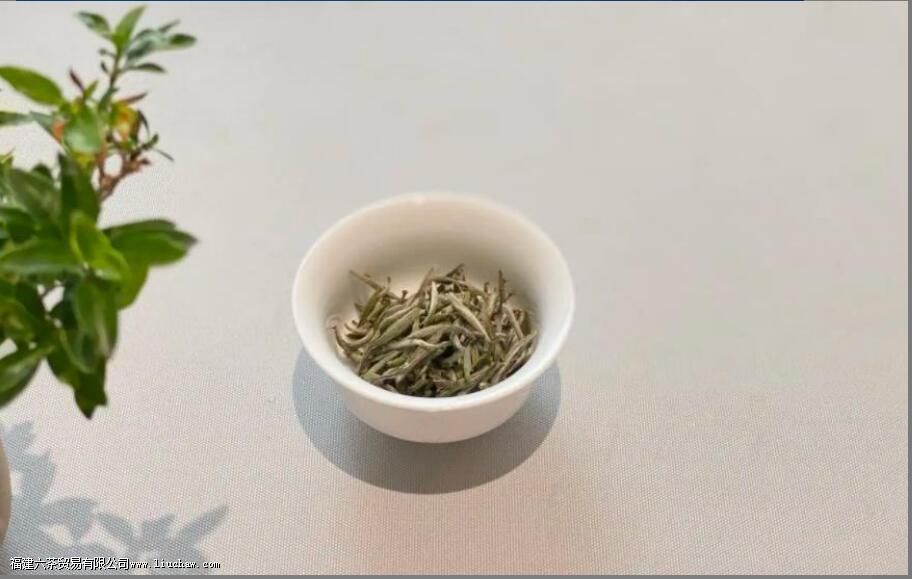 ���ѡ��ײ裬ɢ��û��ǽ�ѹ���