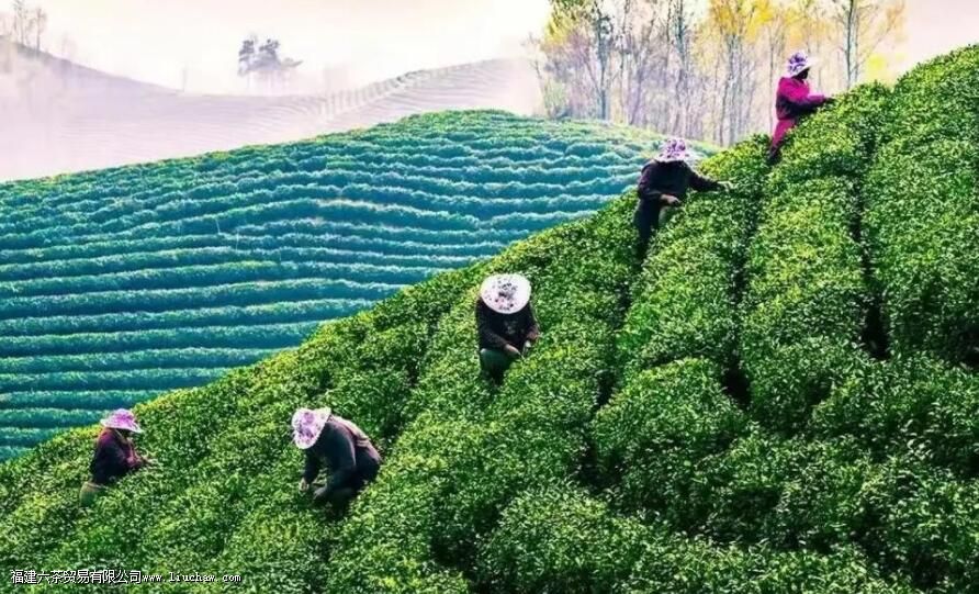 ��ɽ������ʲô�� ��ɽ�������ص����