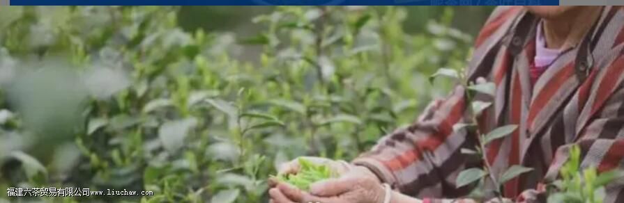 ��ɽ������ʲô�� ��ɽ�������ص����