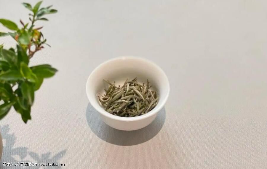 �������ʲô��ȽϺ� �ļ������Ƽ�