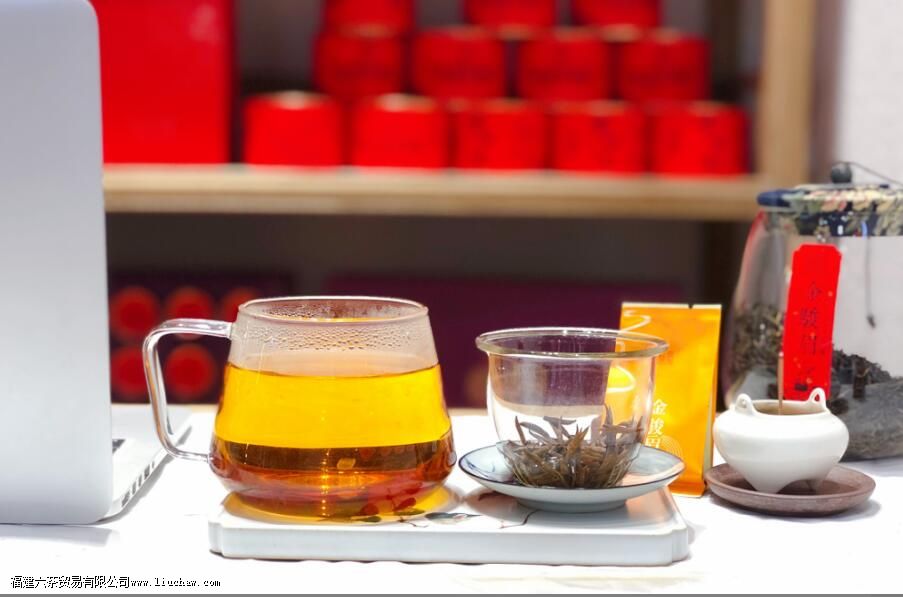 �������ʲô��ȽϺ� �ļ������Ƽ�