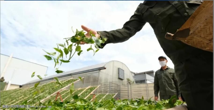 ɱ����ʲô��˼