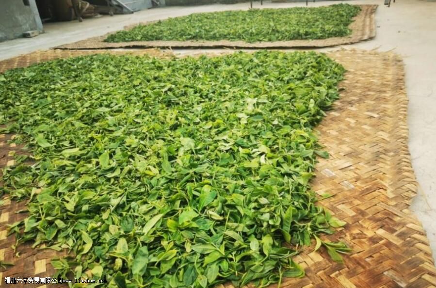 ɱ����ʲô��˼