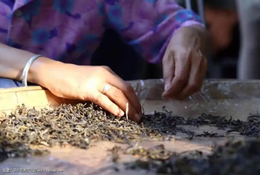 晒青绿茶有哪些茶 晒青绿茶有哪些茶