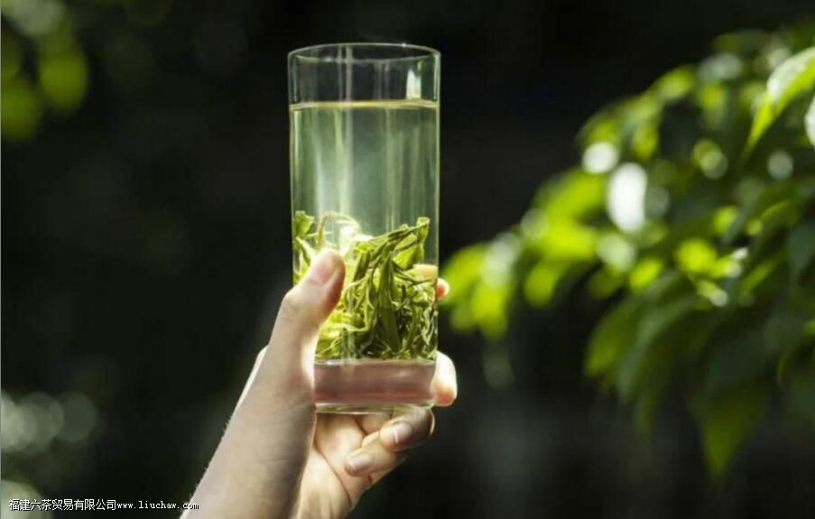 什么季节喝什么茶 什么季节喝什么茶