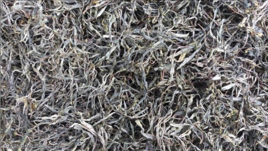 什么叫生津 什么叫生津