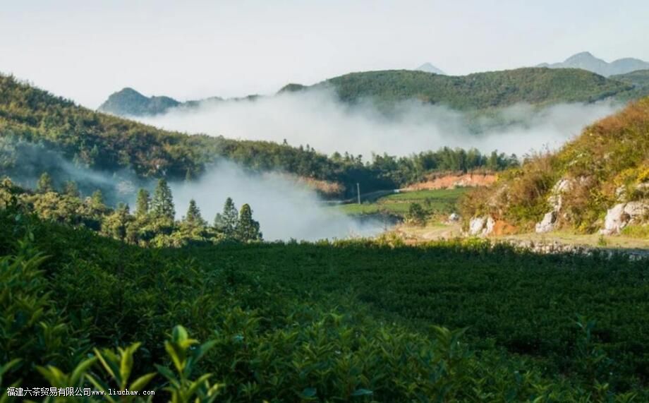 ʲô�ǰ���������Щ�ص�