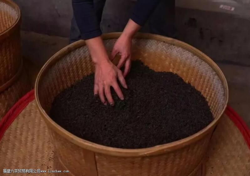 ʲô�ǲ�Ҷ�ļӹ�