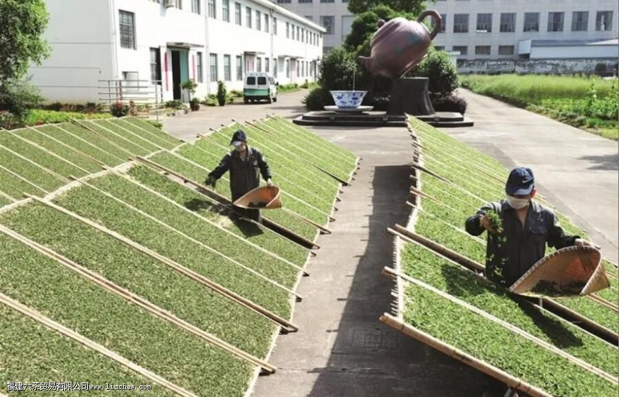 ʲô�ǲ�Ҷ�ļӹ�