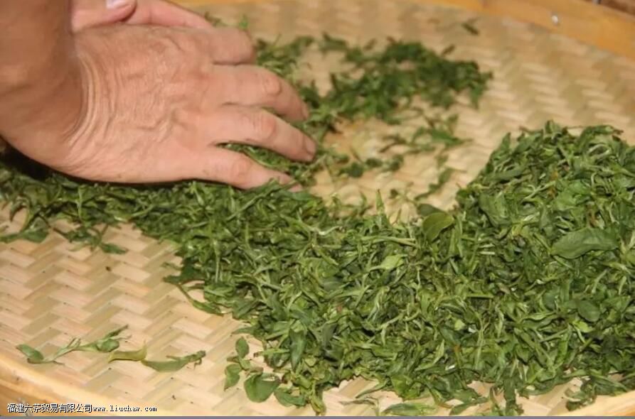 ʲô�ǲ�Ҷ�ļӹ�