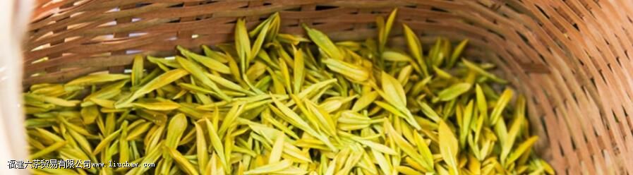 ʲô�ǻƲ������еĹؼ�����