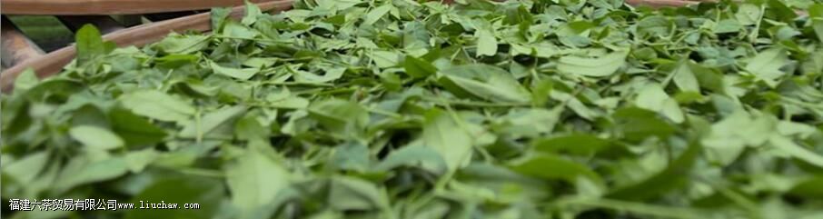 ʲô������ή��