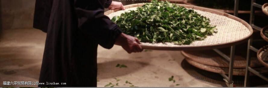 ʲô������ή��