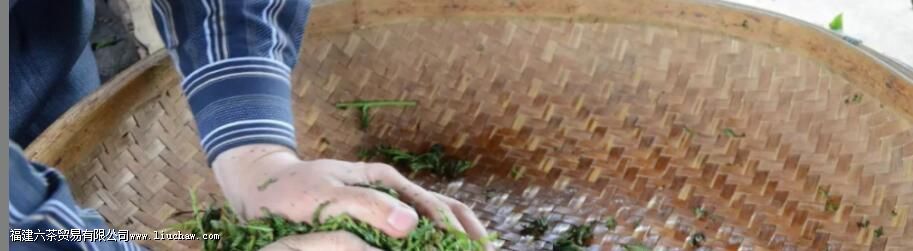 ʲô������ή��