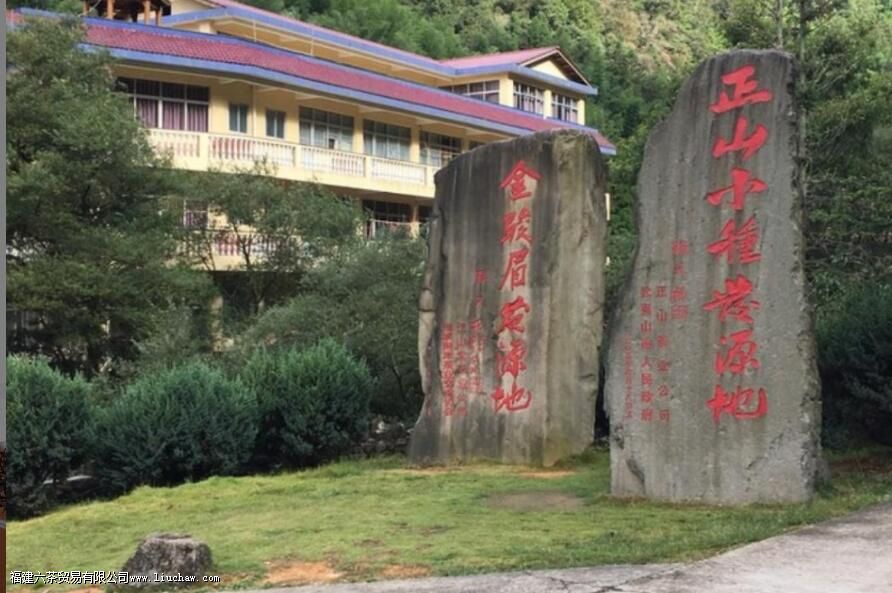 什么是正山小种 什么是正山小种