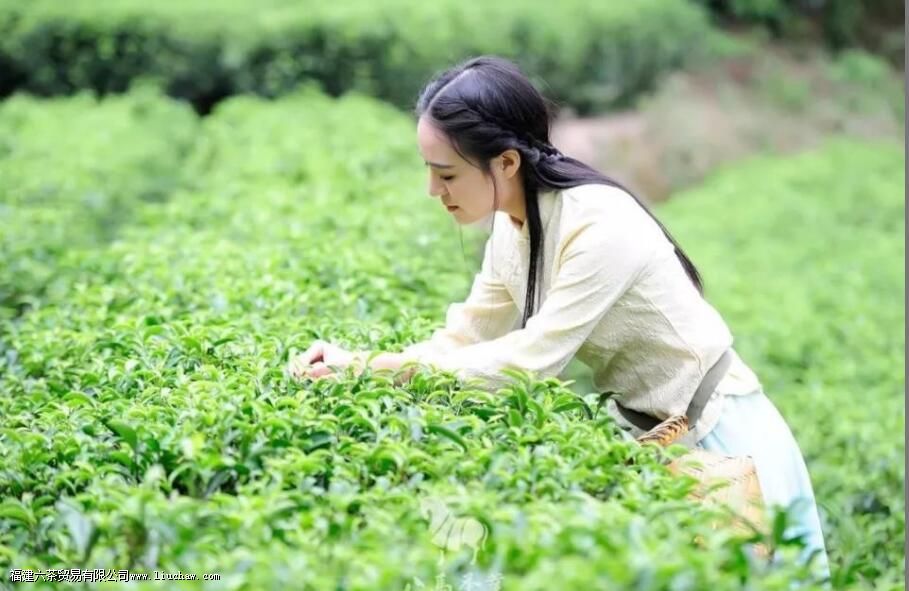 ʲô�в������ֱ���֮��