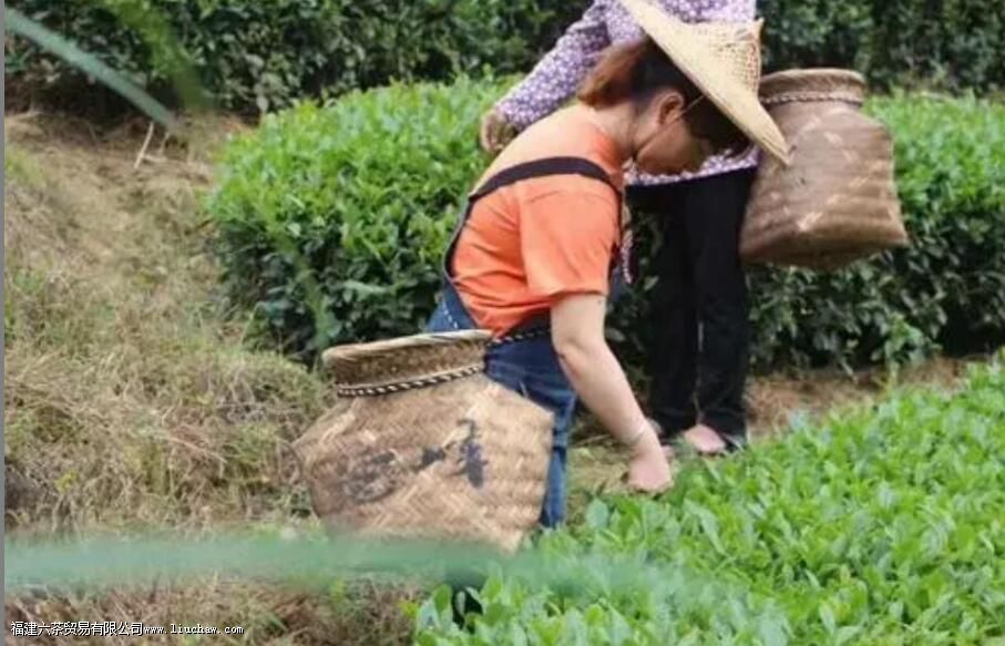 ʲô�в������ֱ���֮��